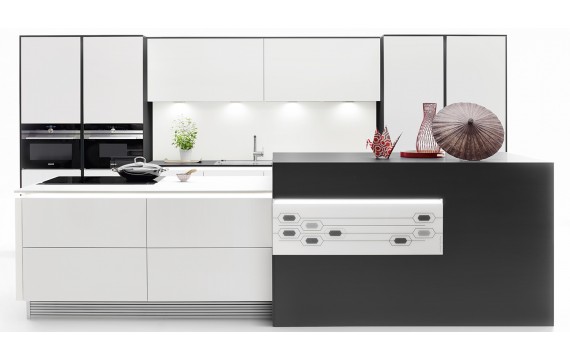 FENIX 4901 